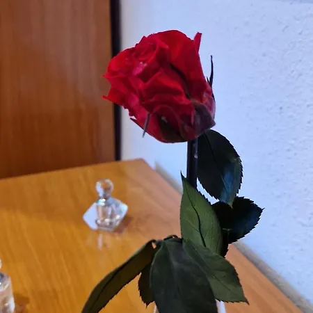 Apartament La Cueva De Gonza - 5 Pax - Wifi - Vut-4092-as Gijón