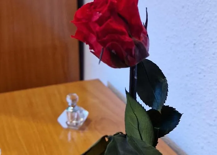 Lejlighed La Cueva De Gonza - 5 Pax - Wifi - Vut-4092-as Gijón